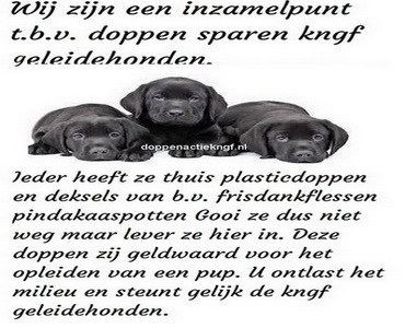 Doppenactiekngf.nl