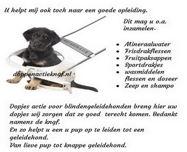Doppenactiekngf.nl