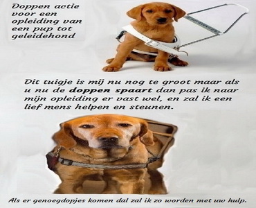 Doppenactiekngf.nl