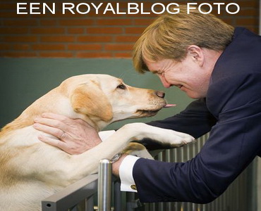 Doppenactiekngf.nl