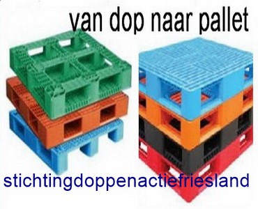 Doppenactiekngf.nl
