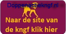 Doppenactiekngf.nl